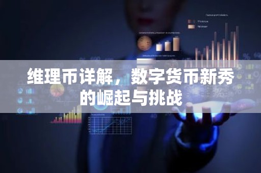 维理币详解，数字货币新秀的崛起与挑战