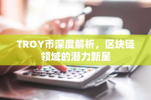 TROY币深度解析，区块链领域的潜力新星