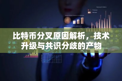 比特币分叉原因解析，技术升级与共识分歧的产物
