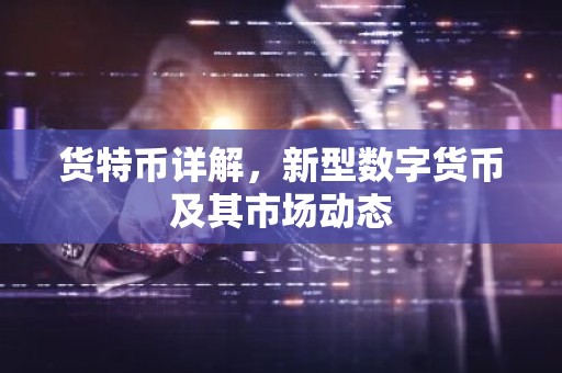 货特币详解，新型数字货币及其市场动态