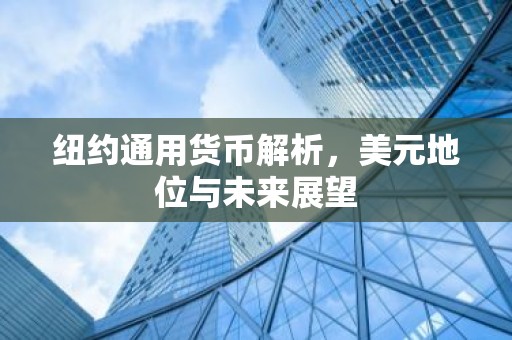 纽约通用货币解析，美元地位与未来展望
