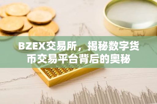 BZEX交易所，揭秘数字货币交易平台背后的奥秘