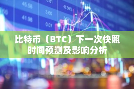 比特币（BTC）下一次快照时间预测及影响分析