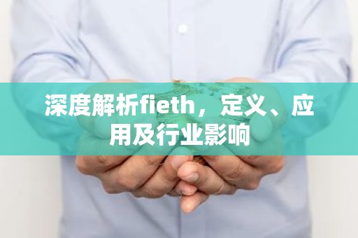 深度解析fieth，定义、应用及行业影响