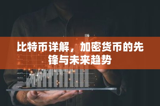 比特币详解，加密货币的先锋与未来趋势