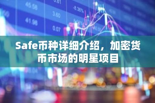Safe币种详细介绍，加密货币市场的明星项目