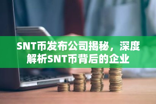 SNT币发布公司揭秘，深度解析SNT币背后的企业