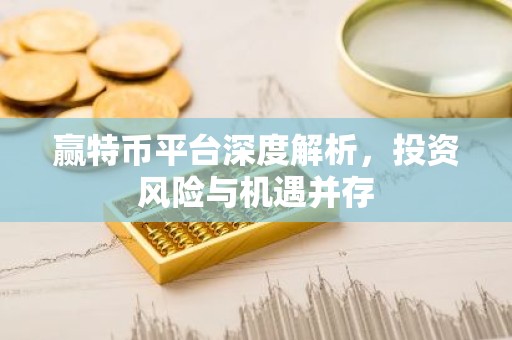 赢特币平台深度解析，投资风险与机遇并存