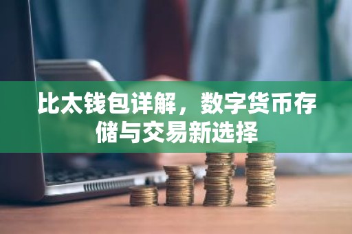 比太钱包详解，数字货币存储与交易新选择