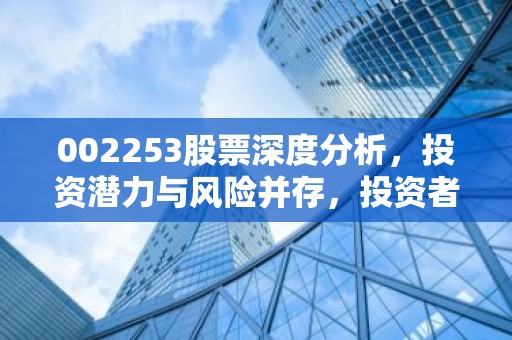002253股票深度分析，投资潜力与风险并存，投资者该如何抉择？