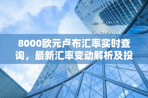 8000欧元卢布汇率实时查询，最新汇率变动解析及投资建议