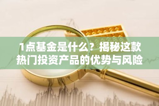 1点基金是什么？揭秘这款热门投资产品的优势与风险