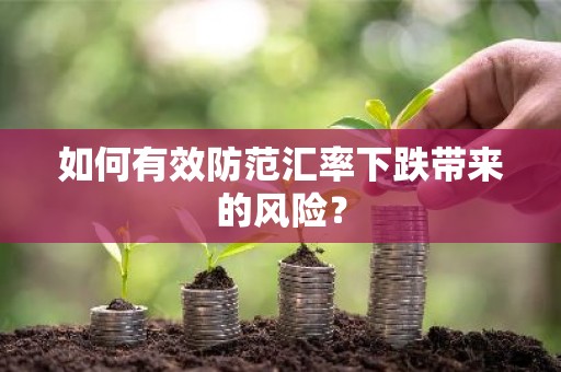 如何有效防范汇率下跌带来的风险？