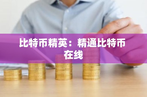 比特币精英：精通比特币 在线