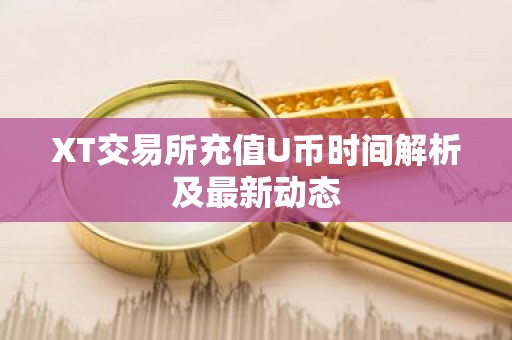 XT交易所充值U币时间解析及最新动态