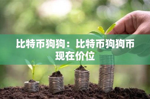 比特币狗狗：比特币狗狗币现在价位