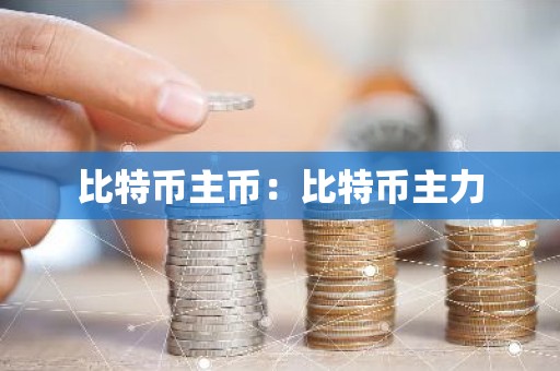 比特币主币：比特币主力