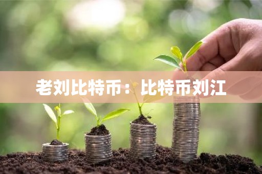 老刘比特币：比特币刘江