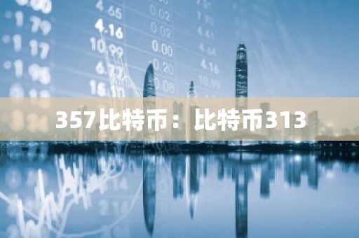 357比特币：比特币313