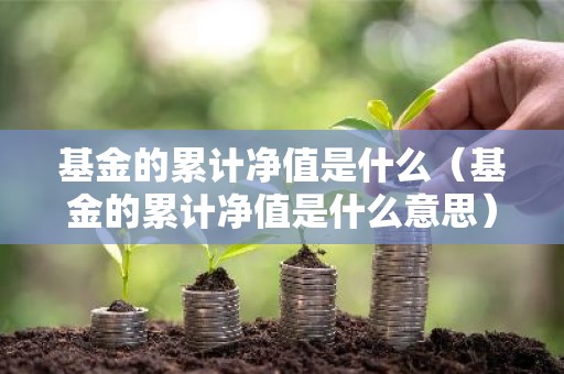 基金的累计净值是什么（基金的累计净值是什么意思）