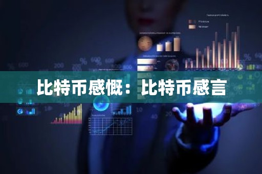 比特币感慨：比特币感言