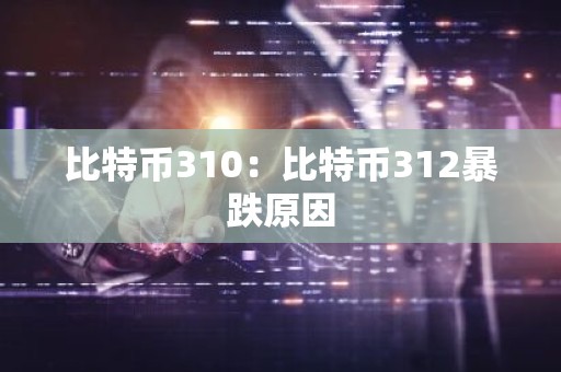 比特币310：比特币312暴跌原因