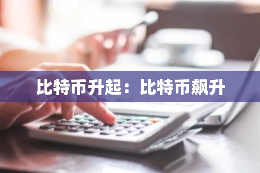 比特币升起：比特币飙升