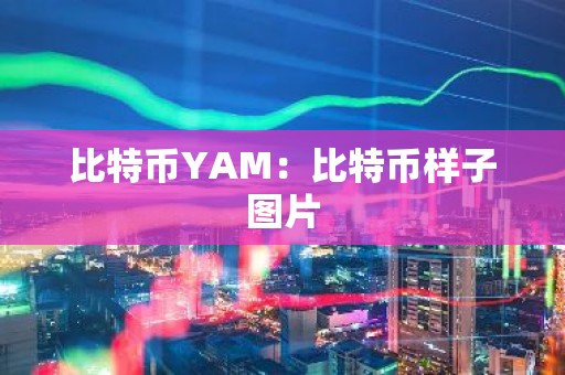 比特币YAM：比特币样子图片