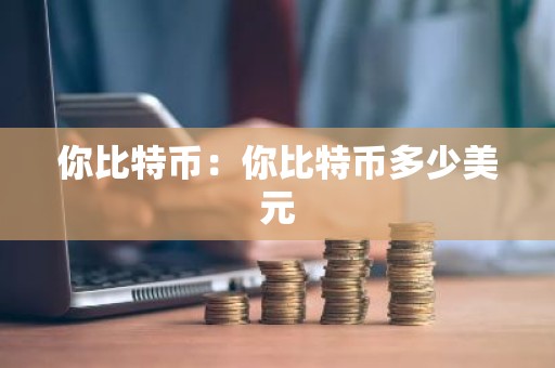 你比特币：你比特币多少美元