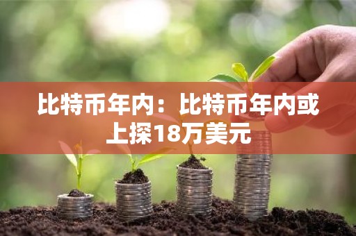 比特币年内：比特币年内或上探18万美元