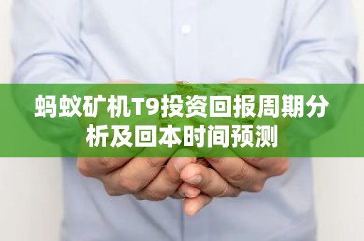 蚂蚁矿机T9投资回报周期分析及回本时间预测