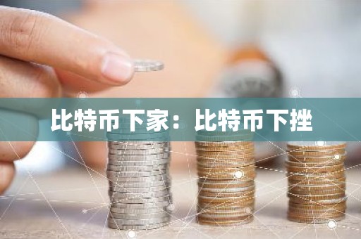比特币下家：比特币下挫