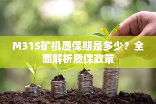 M31S矿机质保期是多少？全面解析质保政策