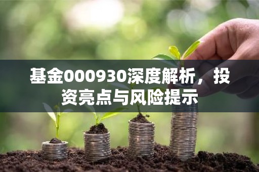 基金000930深度解析，投资亮点与风险提示