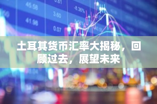 土耳其货币汇率大揭秘，回顾过去，展望未来