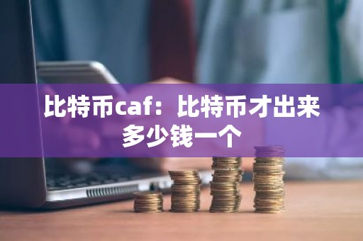 比特币caf：比特币才出来多少钱一个