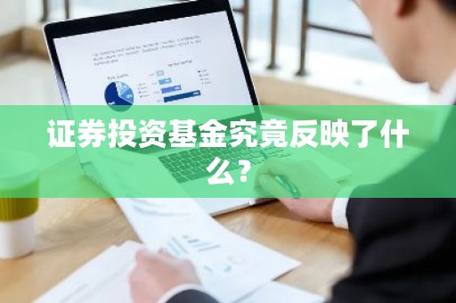证券投资基金究竟反映了什么？