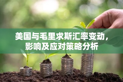 美国与毛里求斯汇率变动，影响及应对策略分析