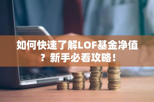 如何快速了解LOF基金净值？新手必看攻略！