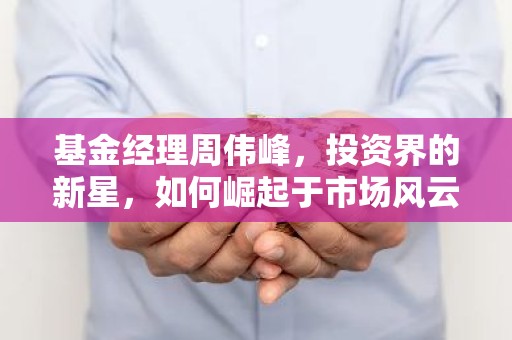 基金经理周伟峰，投资界的新星，如何崛起于市场风云？