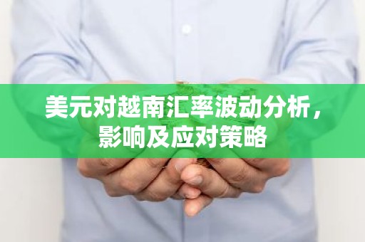 美元对越南汇率波动分析，影响及应对策略