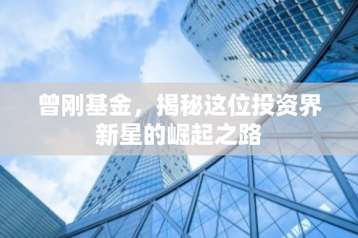 曾刚基金，揭秘这位投资界新星的崛起之路