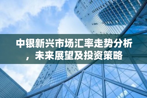 中银新兴市场汇率走势分析，未来展望及投资策略
