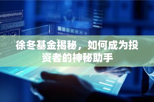 徐冬基金揭秘，如何成为投资者的神秘助手