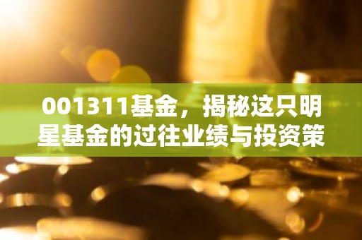 001311基金，揭秘这只明星基金的过往业绩与投资策略