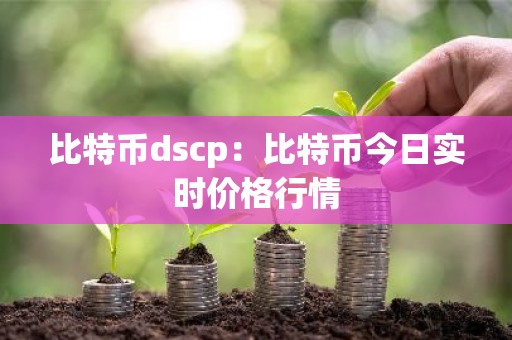 比特币dscp：比特币今日实时价格行情