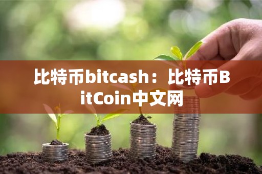比特币bitcash：比特币BitCoin中文网