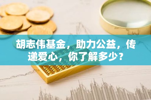 胡志伟基金，助力公益，传递爱心，你了解多少？