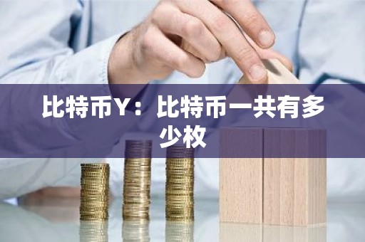 比特币Y：比特币一共有多少枚