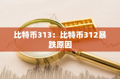 比特币313：比特币312暴跌原因